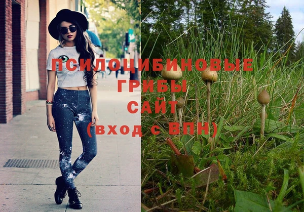 гашиш Белокуриха